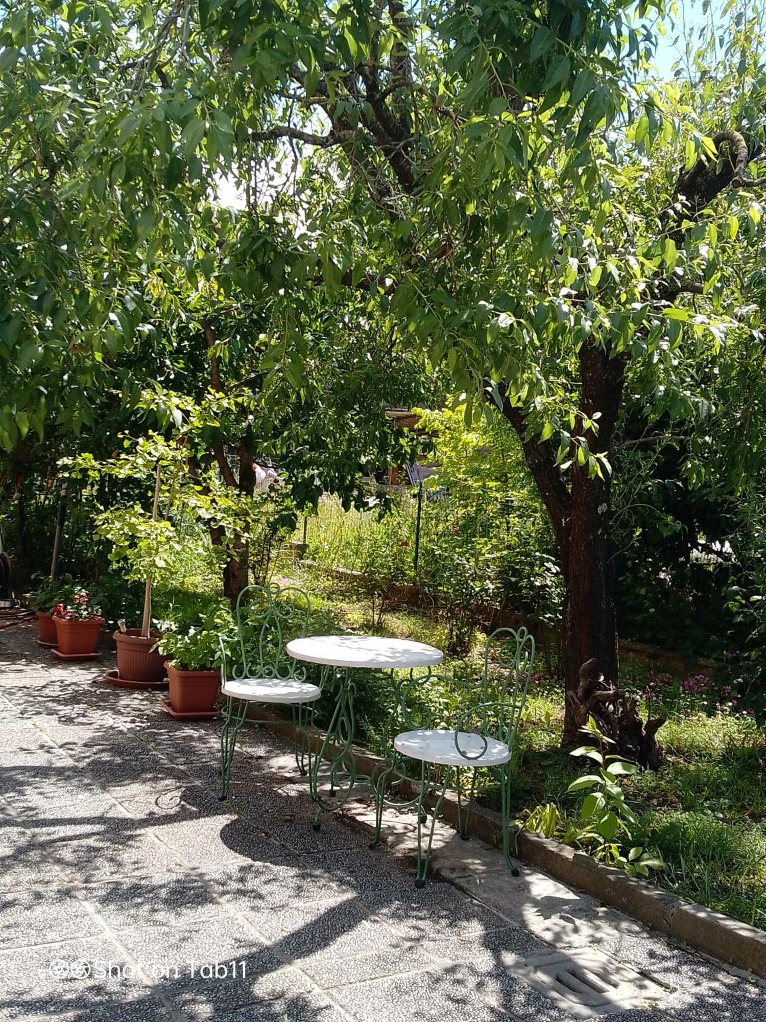 Apartma Bomar * Koper